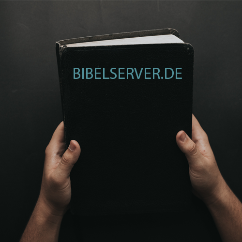 Bibelserver-Adventgemeinde-Deggendorf